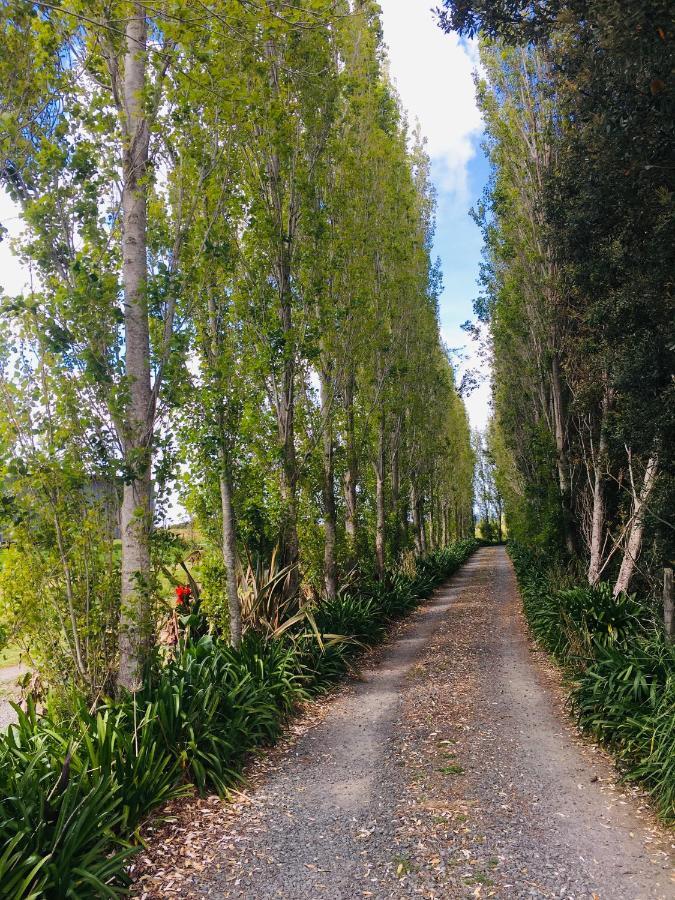 The Camel At Araiawa Raio Lodge Pukenui ภายนอก รูปภาพ
